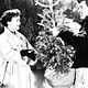 Was der Himmel erlaubt : photo Douglas Sirk, Jane Wyman, Rock Hudson