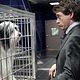 The Shaggy Dog : photo Bess Wohl, Brian Robbins, Robert Downey Jr.