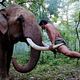 Revenge Of The Warrior : photo Prachya Pinkaew