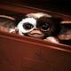 Gremlins