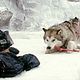 Foto - FILM - Antarctica - Gefangen im Eis : 59351