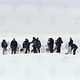 Antarctica - Gefangen im Eis : photo Frank Marshall