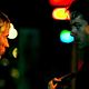 Foto - FILM - Journey to the end of the night : 61619