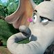 Foto - FILM - Horton Hears a Who : 119193