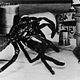 Photo Christophe L - FILM - The Incredible shrinking man : 409