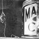 Photo Christophe L - FILM - The Incredible shrinking man : 409