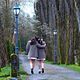 Foto - FILM - Sisters : 51590