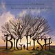 Big Fish - Der Zauber, der ein Leben zur Legende macht