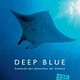 Deep blue