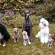 In tierischer Mission : photo