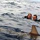 Open Water