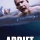 Open Water 2