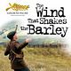 The Wind that Shakes the Barley