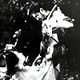 Rashomon : photo