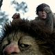 Foto - FILM - Where the wild things are : 54502
