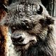 Affiche (autres) - FILM - Where the wild things are : 54502
