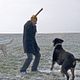 Jagdhunde : photo