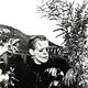 Foto - FILM - Frankenstein : 6038