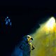 Harry Potter und die Kammer des Schreckens