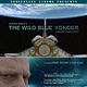 The Wild Blue Yonder