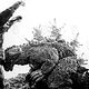 Die Rückkehr des King Kong : photo Inoshiro Honda