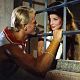 Photo Christophe L - FILM - Arrivano i titani : 15467