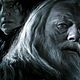 Harry Potter und der Halbblutprinz