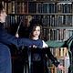 Foto - FILM - Harry Potter und der Halbblutprinz : 116305
