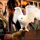 Harry Potter und der Halbblutprinz : photo David Yates, J.K. Rowling
