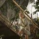 Foto - FILM - Nim's Island : 127737
