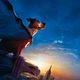 Underdog