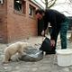 Knut und seine Freunde : photo
