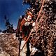 Photo Christophe L - FILM - Die Abenteuer des Robin Hood : 2219