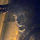Foto - FILM - The Wolf Man : 110815