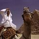 Where In The World Is Osama Bin Laden? : photo Morgan Spurlock