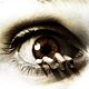 The Eye
