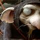 Despereaux - Der kleine Mäuseheld