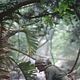 Tunnel Rats : photo