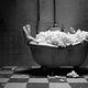Mary & Max - oder Schrumpfen Schafe wenn es regnet?