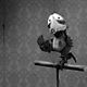 Mary & Max - oder Schrumpfen Schafe wenn es regnet?