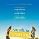 Sunshine Cleaning