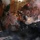 Foto - FILM - X-Men Origins : Wolverine : 111544