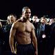 Fighting : photo Brian J. White, Dito Montiel