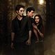 Affiche (autres) - FILM - Twilight 2 - Biss zur Mittagsstunde : 140991