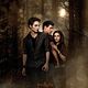 Affiche (autres) - FILM - Twilight 2 - Biss zur Mittagsstunde : 140991