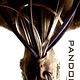 Affiche (autres) - FILM - Pandorum : 133946