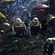 Foto - FILM - Alice in Wonderland : 132663