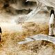 Blood: The Last Vampire : photo Chris Nahon, Gianna Jun, Koyuki
