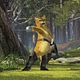 Foto - FILM - Shrek Forever After : 57212