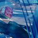 Green Lantern : photo Martin Campbell, Temuera Morrison